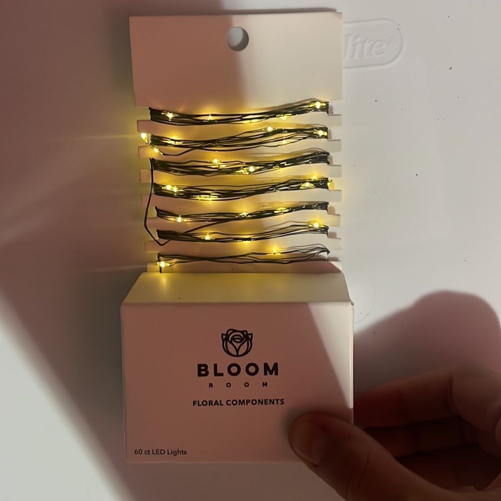 Bloom Room 60 ct LED Mini Black Wire with Warm White String Lights